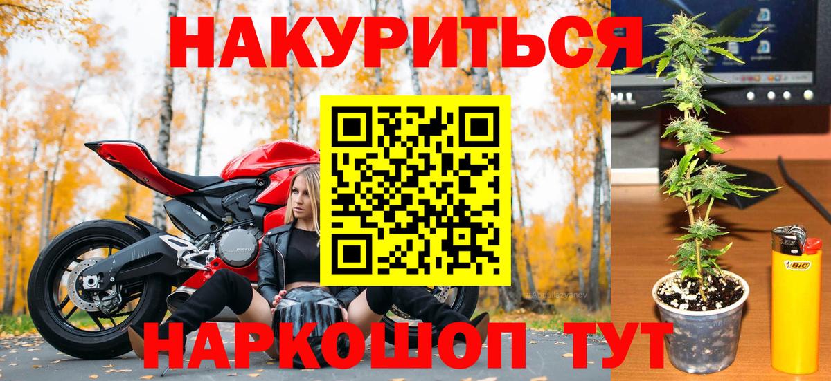 Ногинск  Бошки Шишки ГИДРОПОН  Канабис Ganja  Вход с VPN 